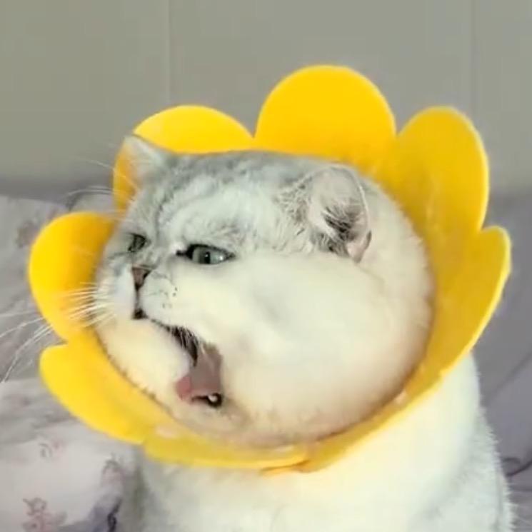 我明天就要暴富