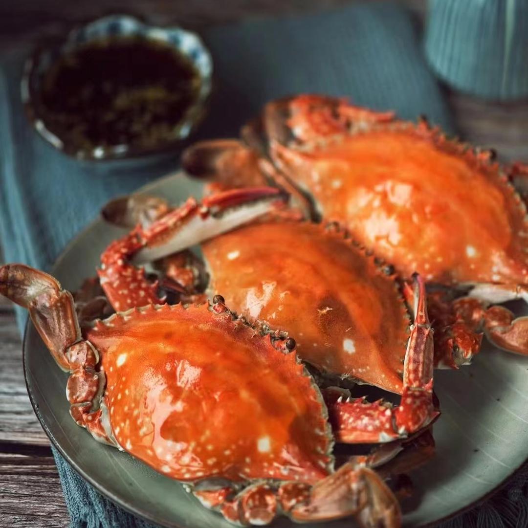 舟山渔港小镇一号码头