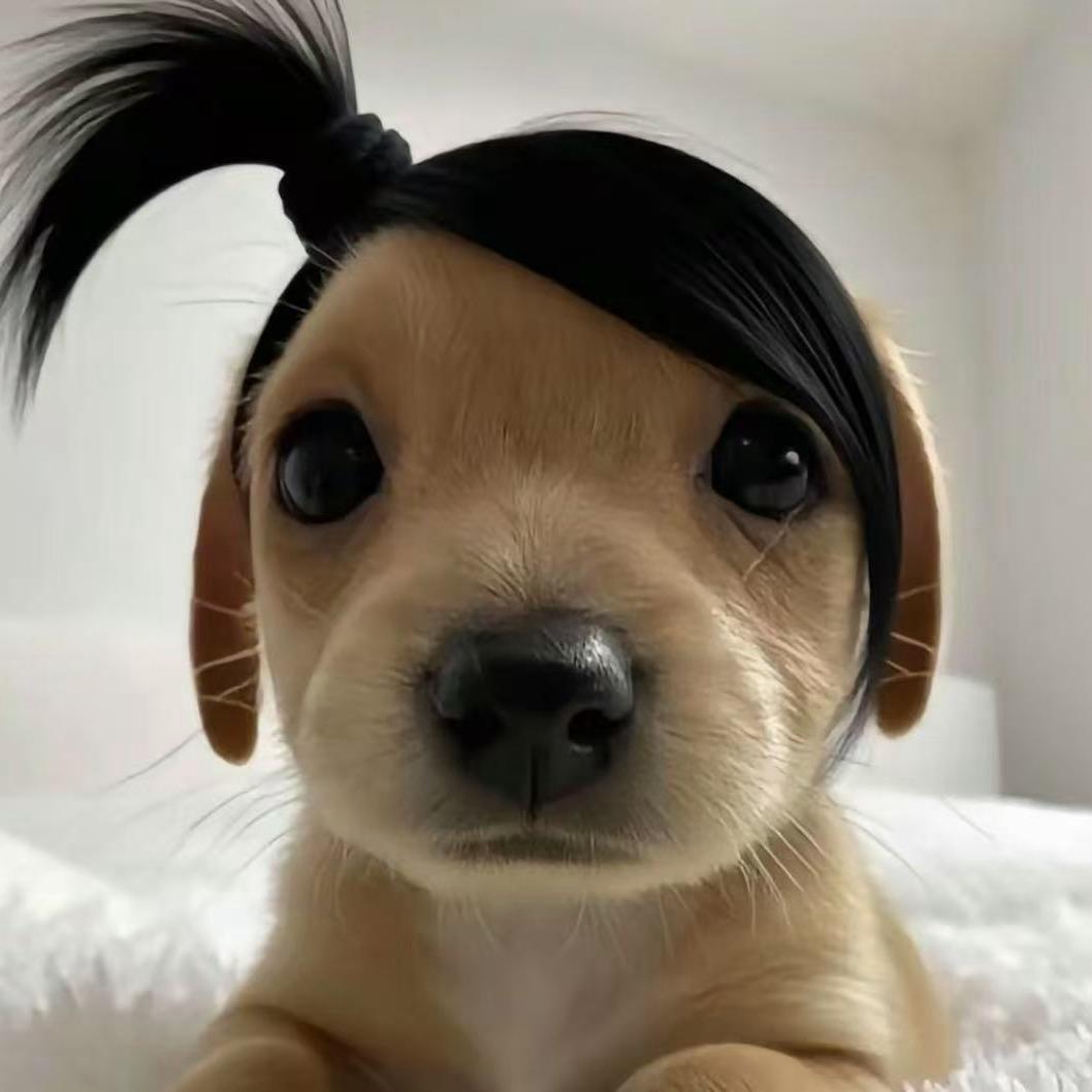 小y…
