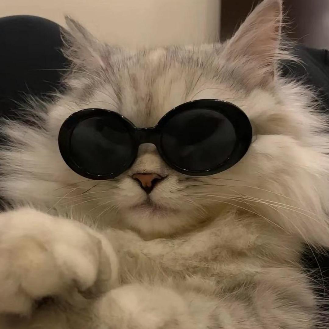 𝓢𝓪𝓴𝓾𝓻𝓪.