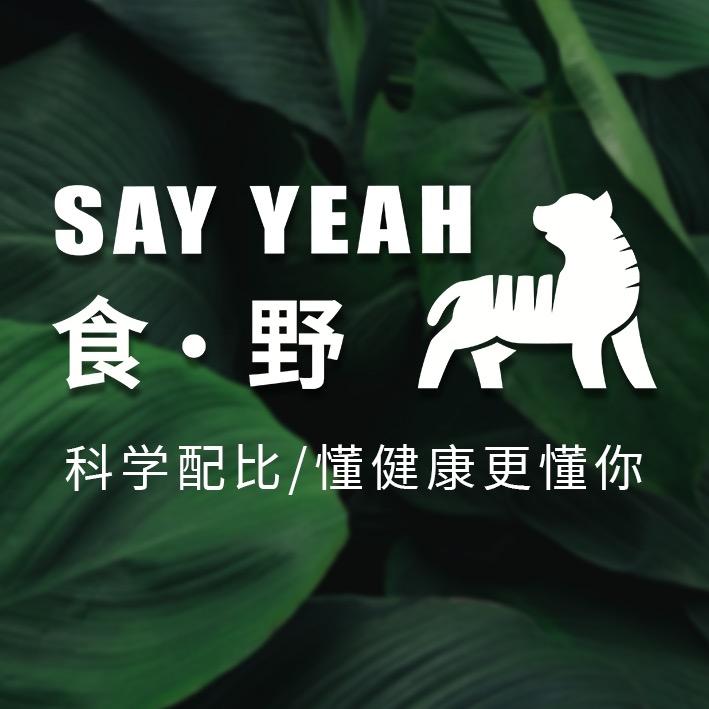 食野 SAY YEAH 创意轻食