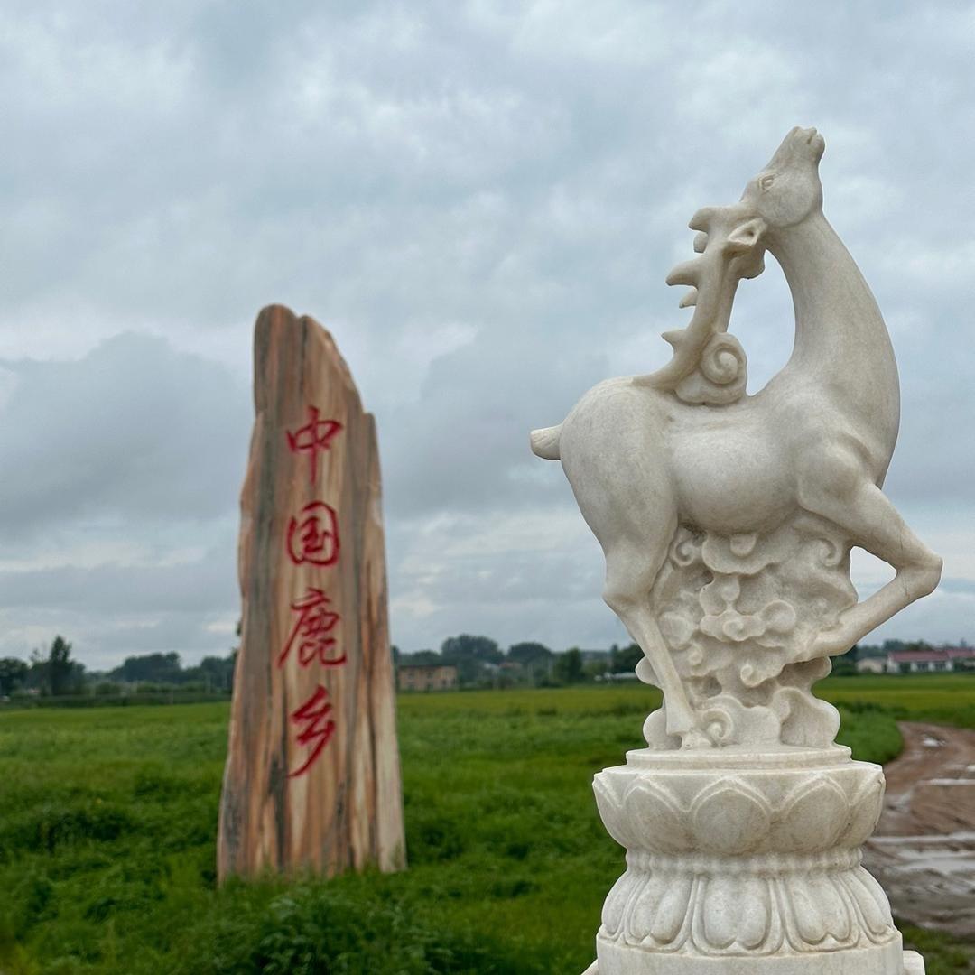 莹莹鹿场·鹿心粉
