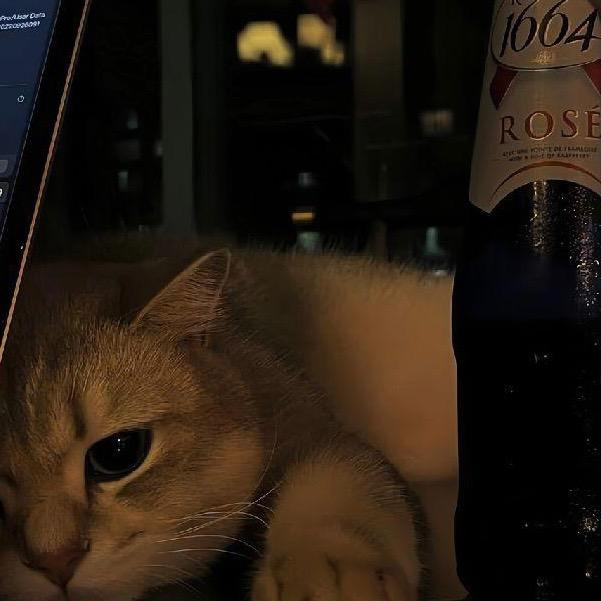 三瓜🈶💥两枣