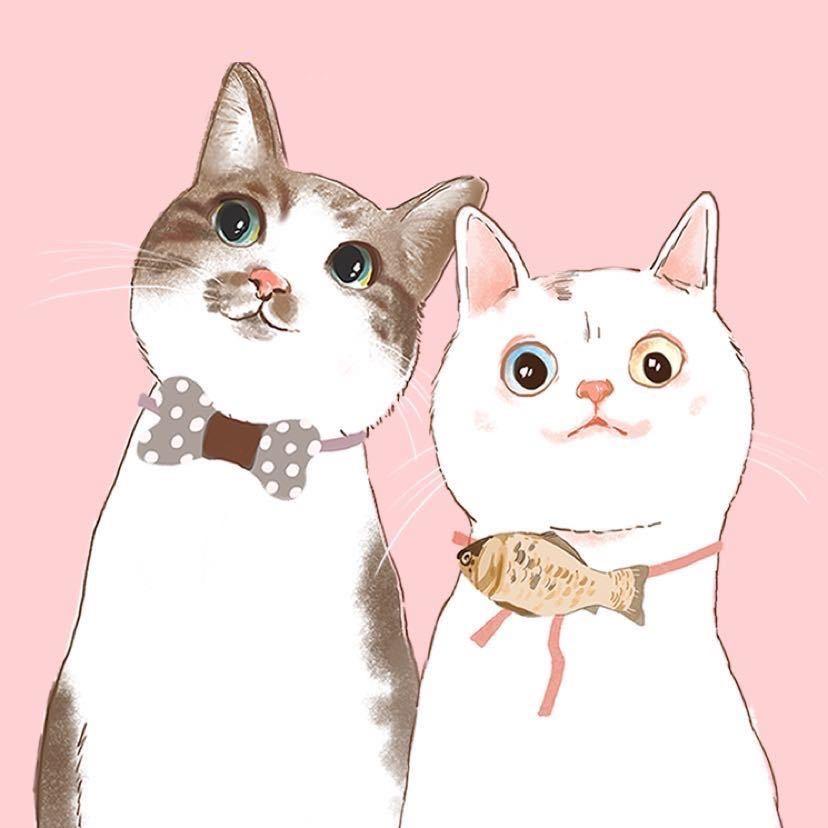 冷静是只猫@抖音