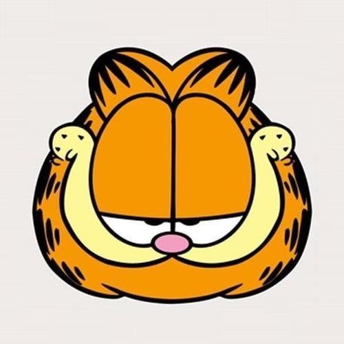 加菲猫和他的朋友们