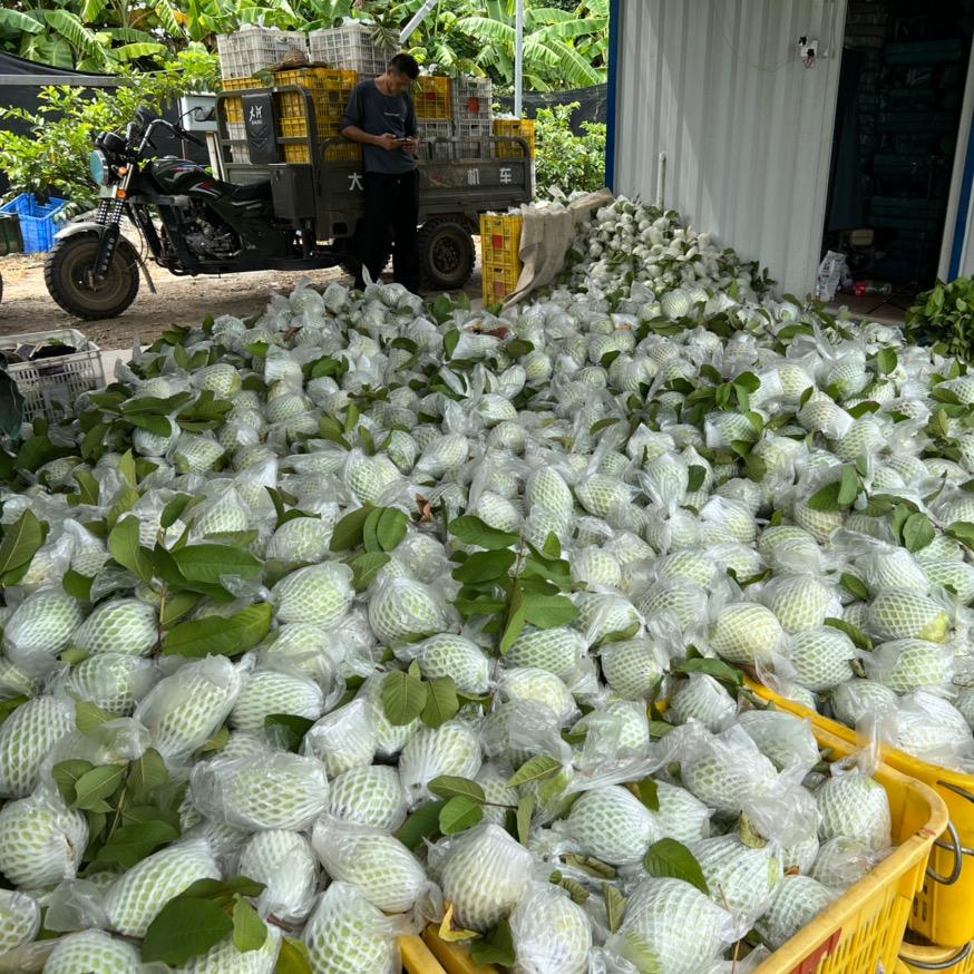 大池农特产基地