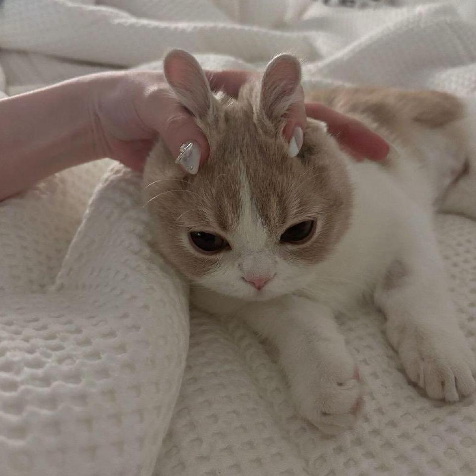 利器