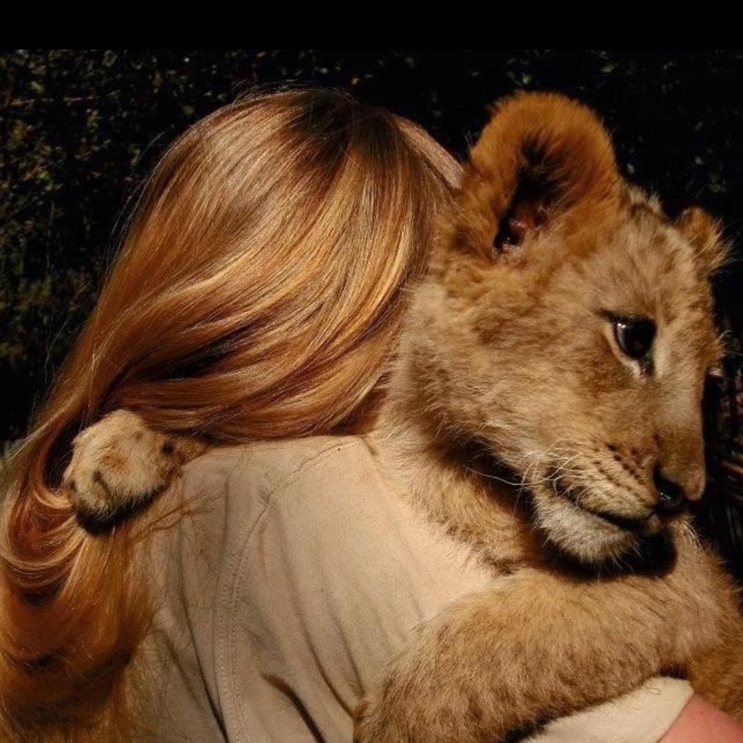 康熙𝑲𝒂𝒏𝒈𝑿𝒊