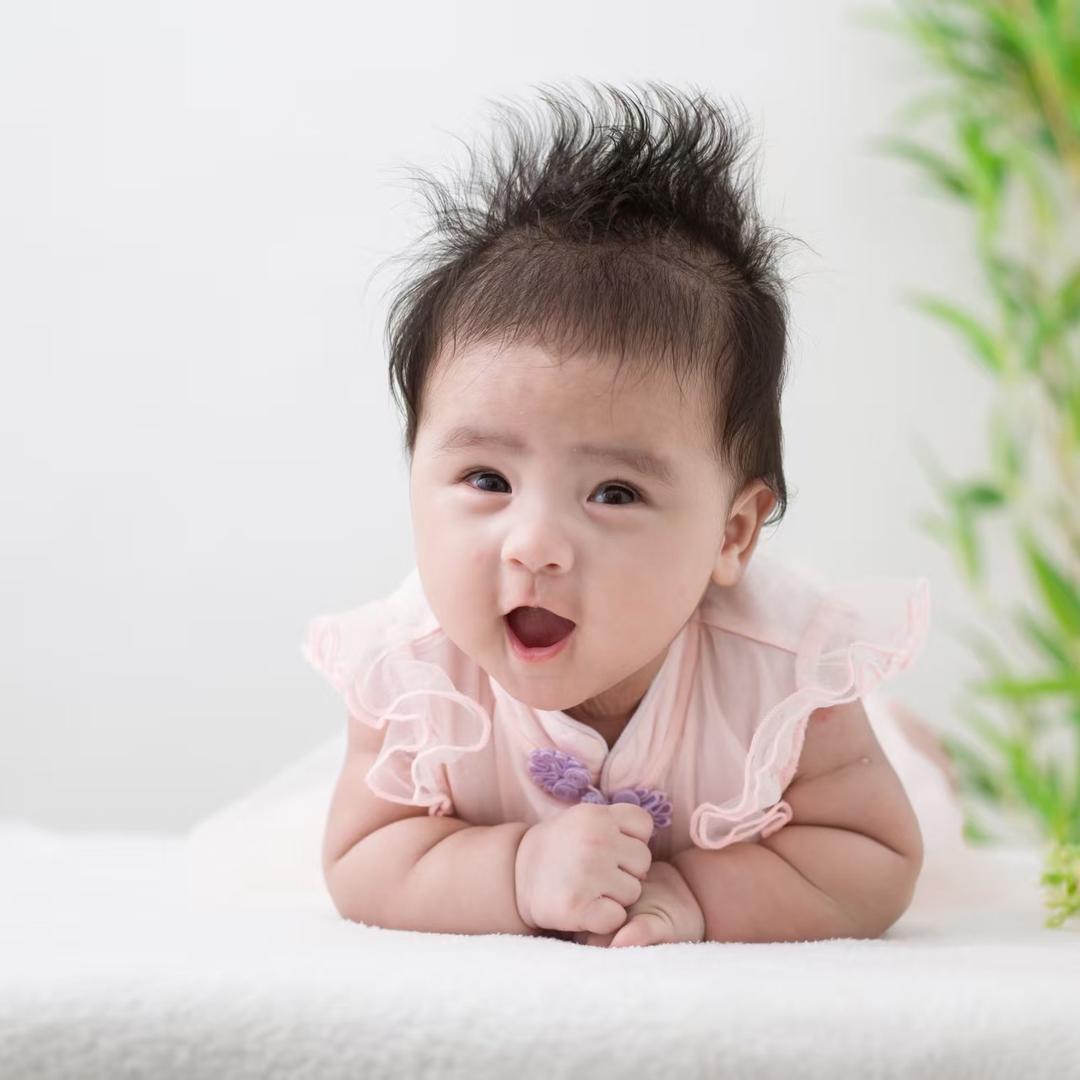 小杨桃成长记