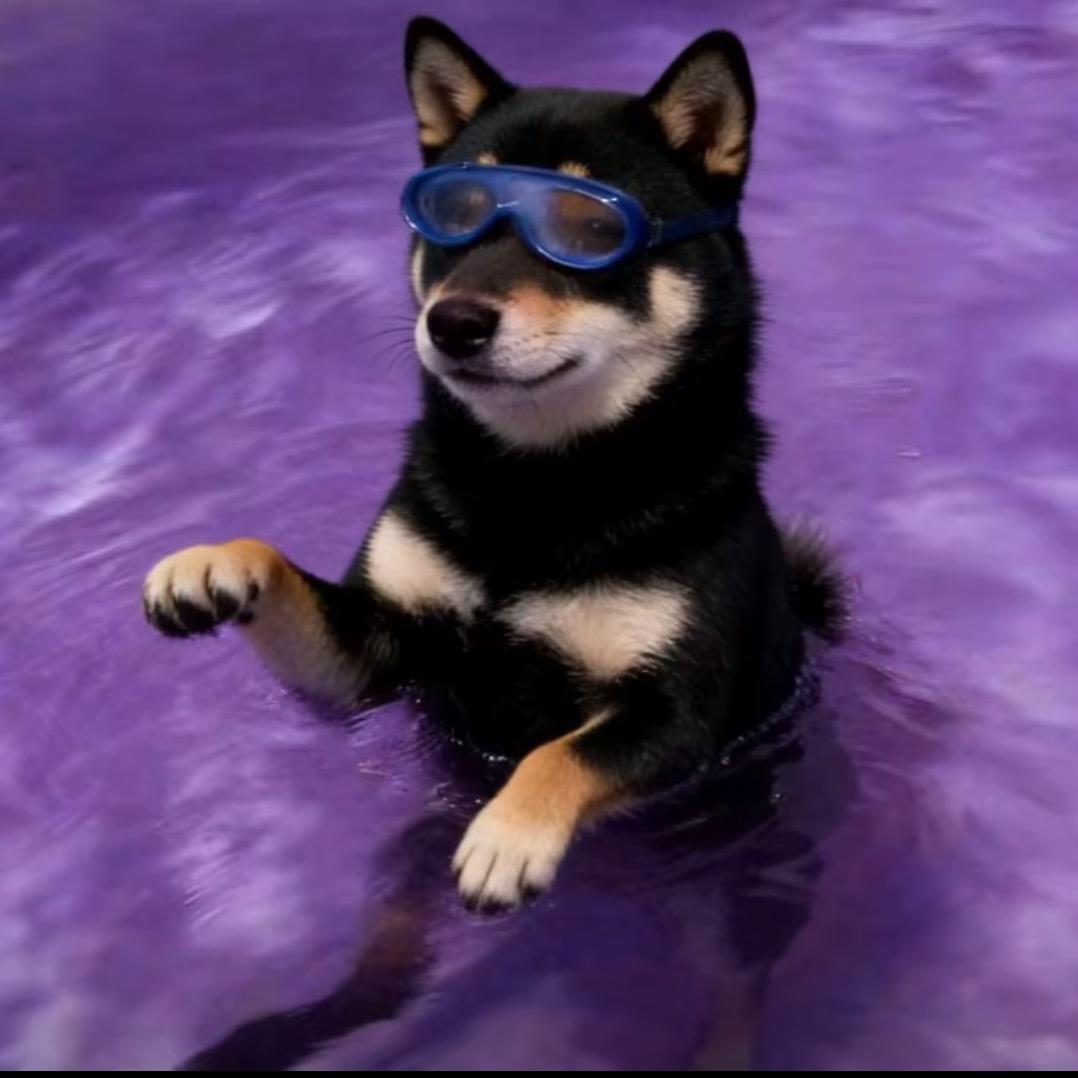 ^冬祺猫茄（接单版