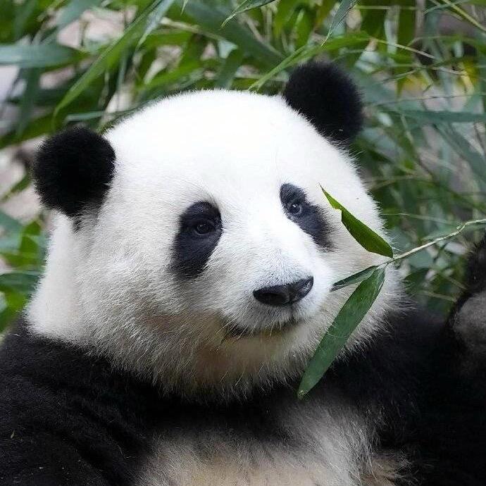 东海都督