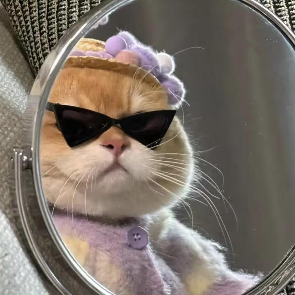 思韵私人订制穿戴甲