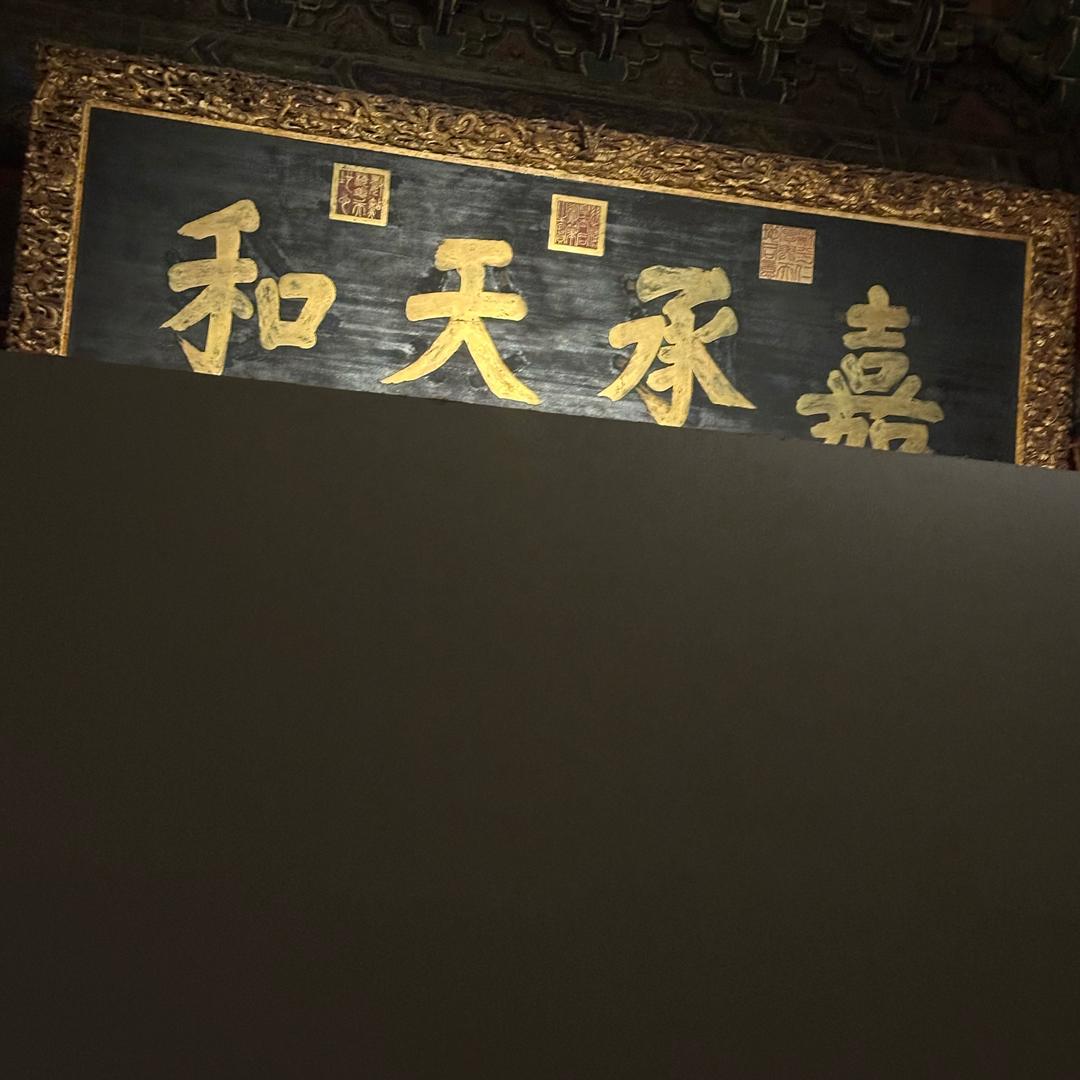 风逸🌊