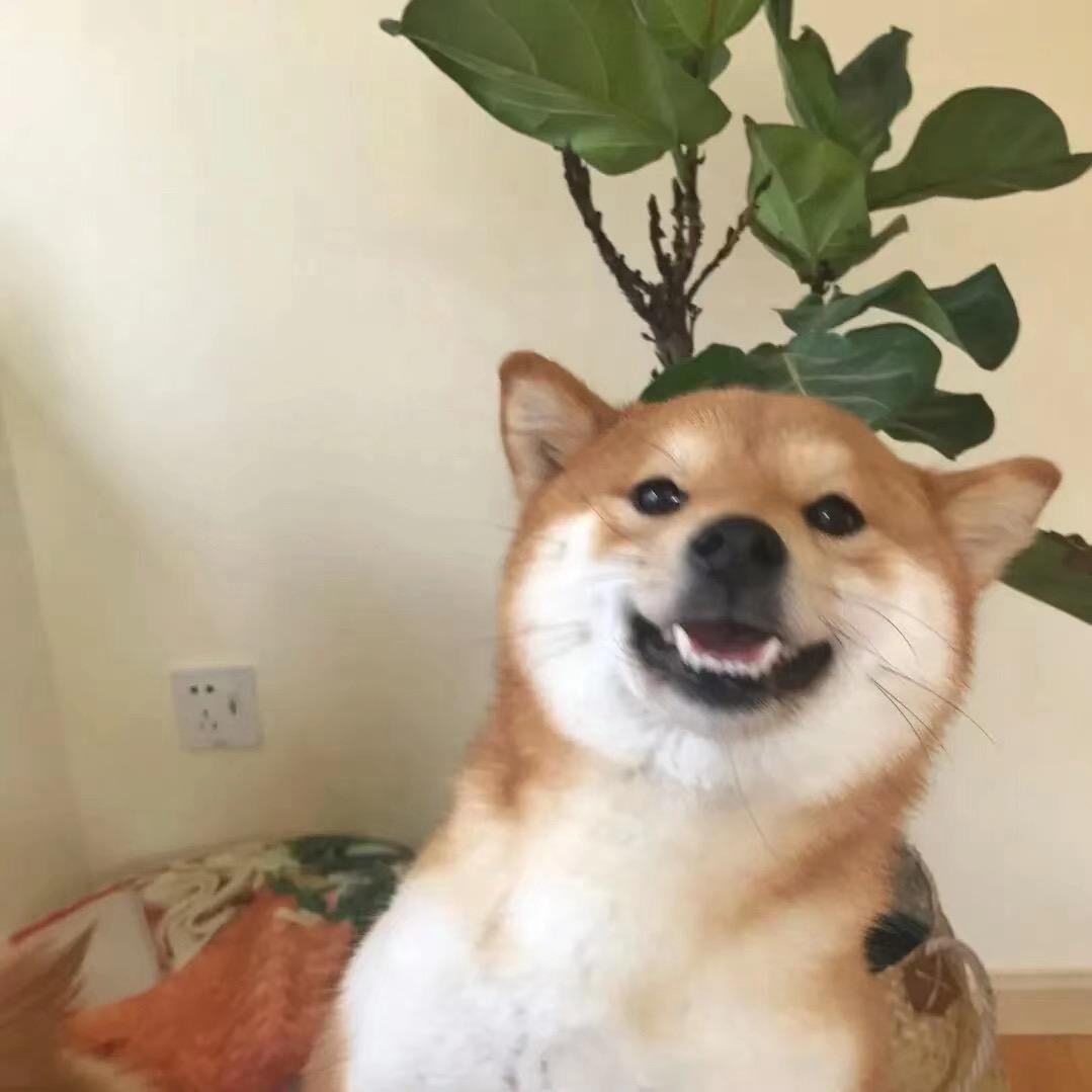 小盖喜欢AD钙🍼