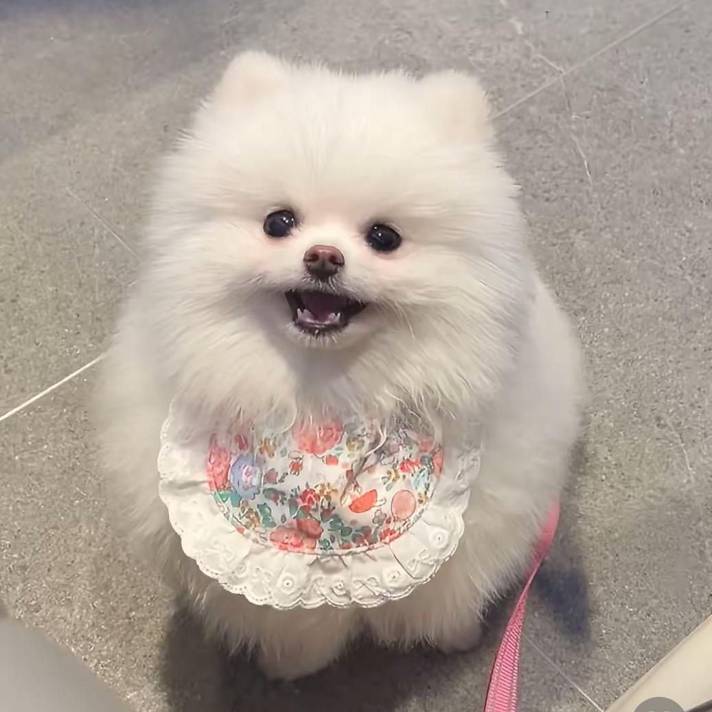 苏极纳攸科技运营1322号