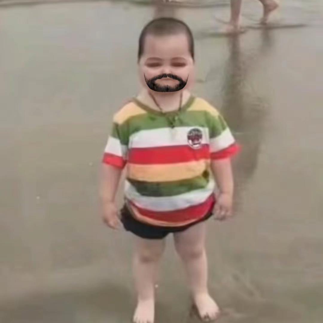 猫毛