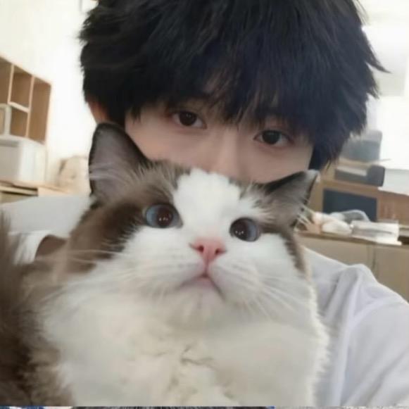 橘子汽水🥤哼哼