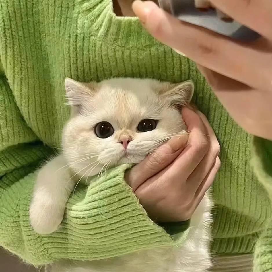 叮叮diy饰品批发