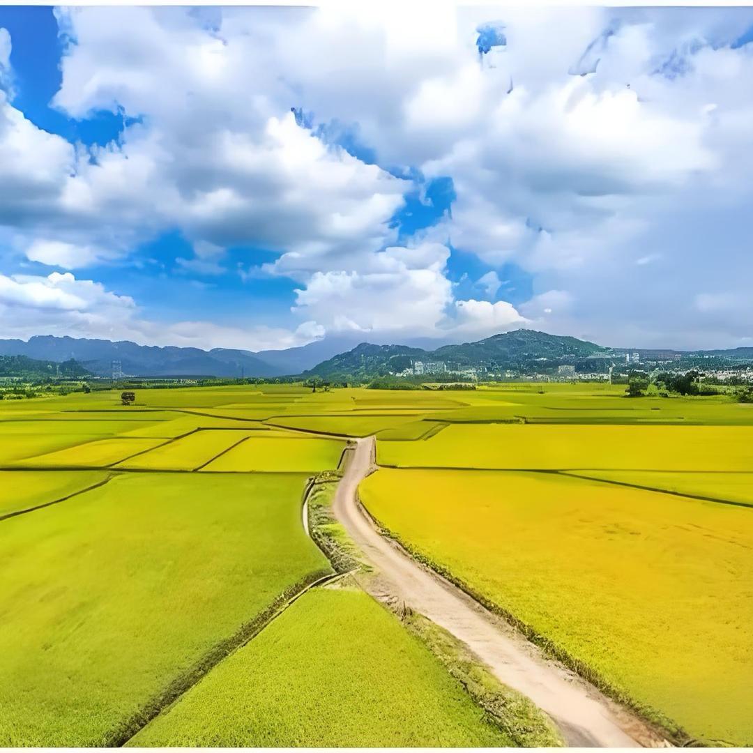 十六助农号