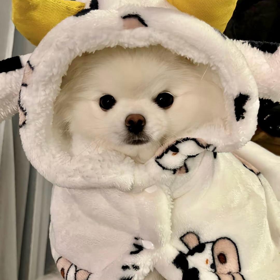 爱财财