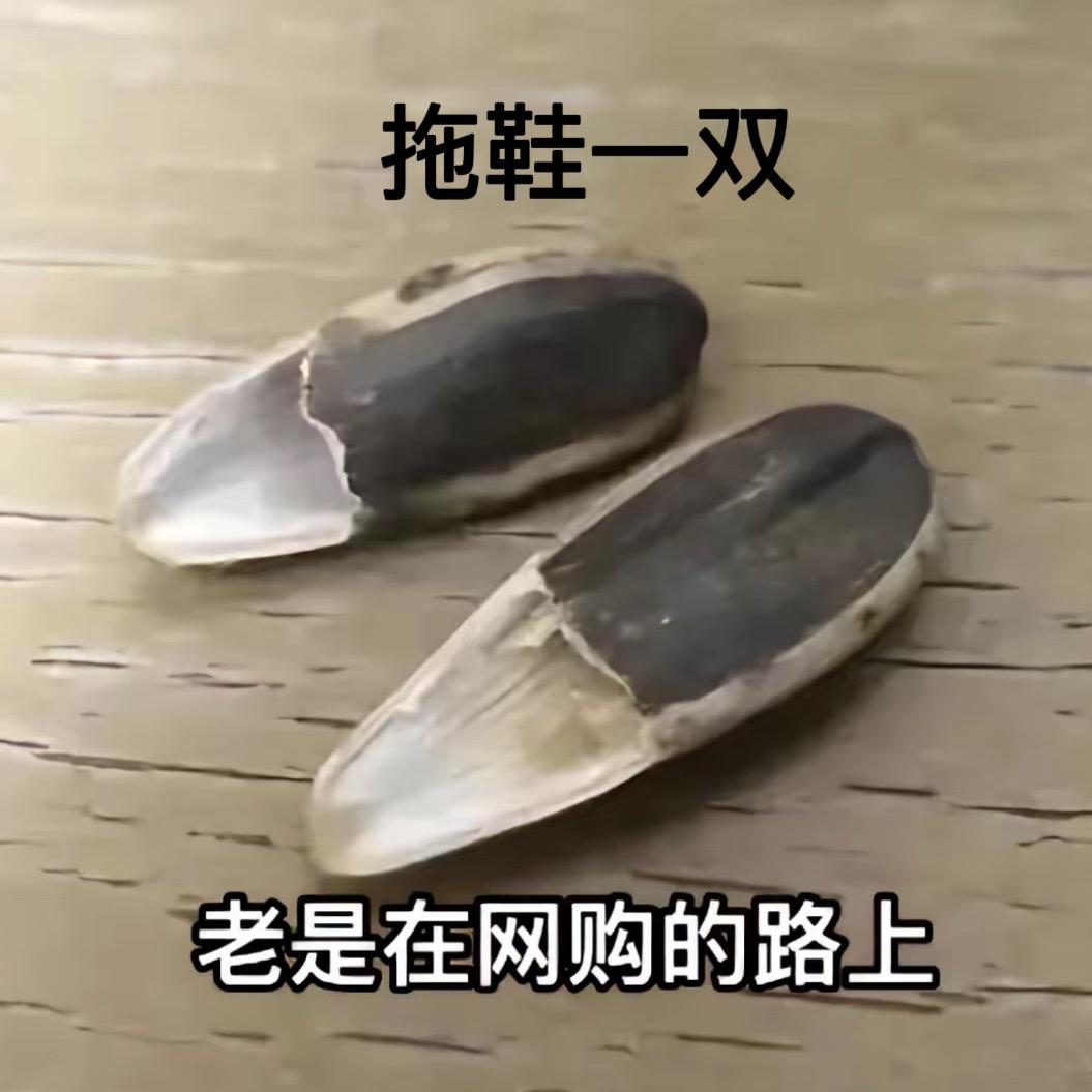 有趣的农民工
