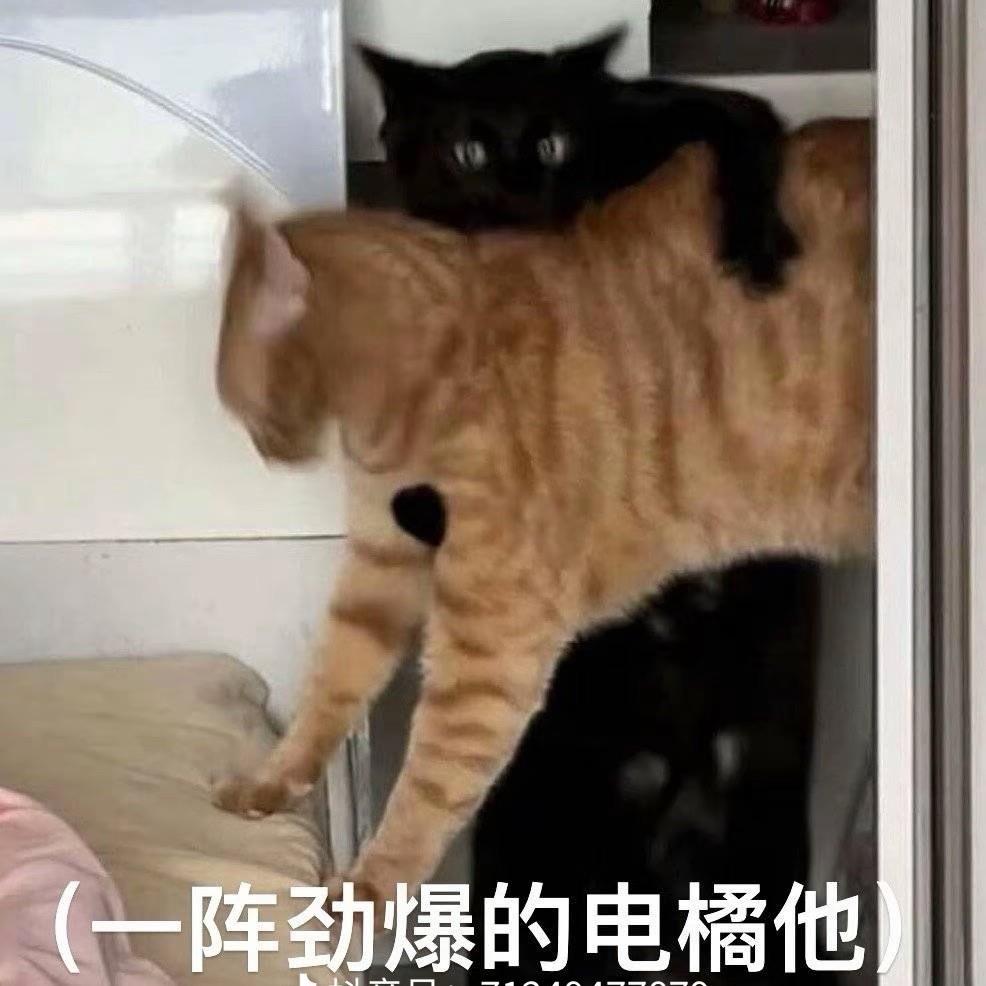 0706星球的梦🕊️