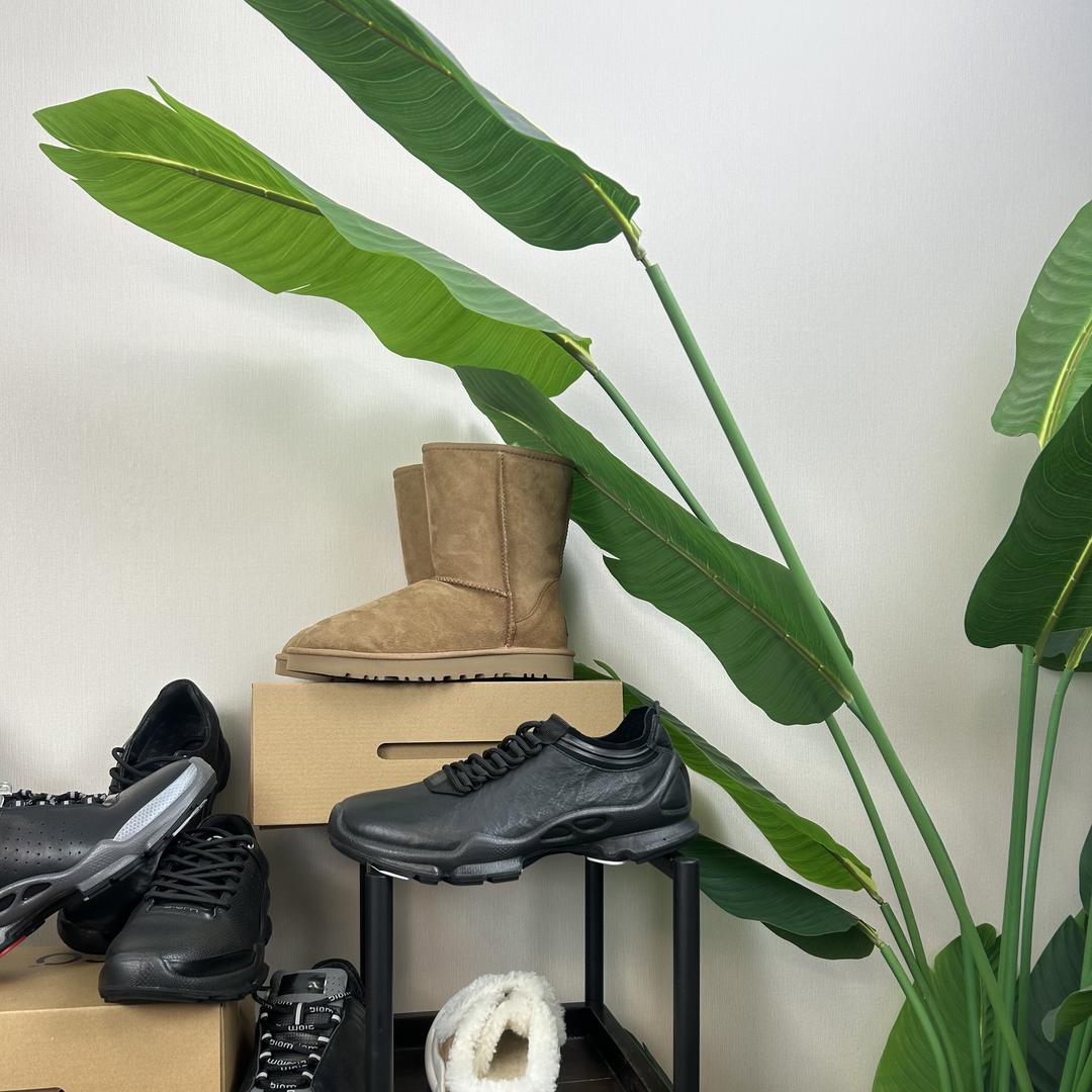 浅风墨奢侈品店