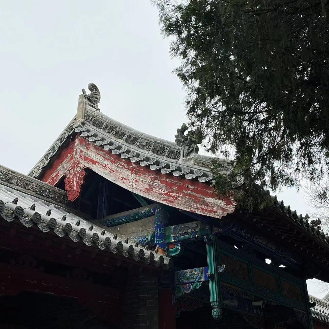 清晨的阳光☀️