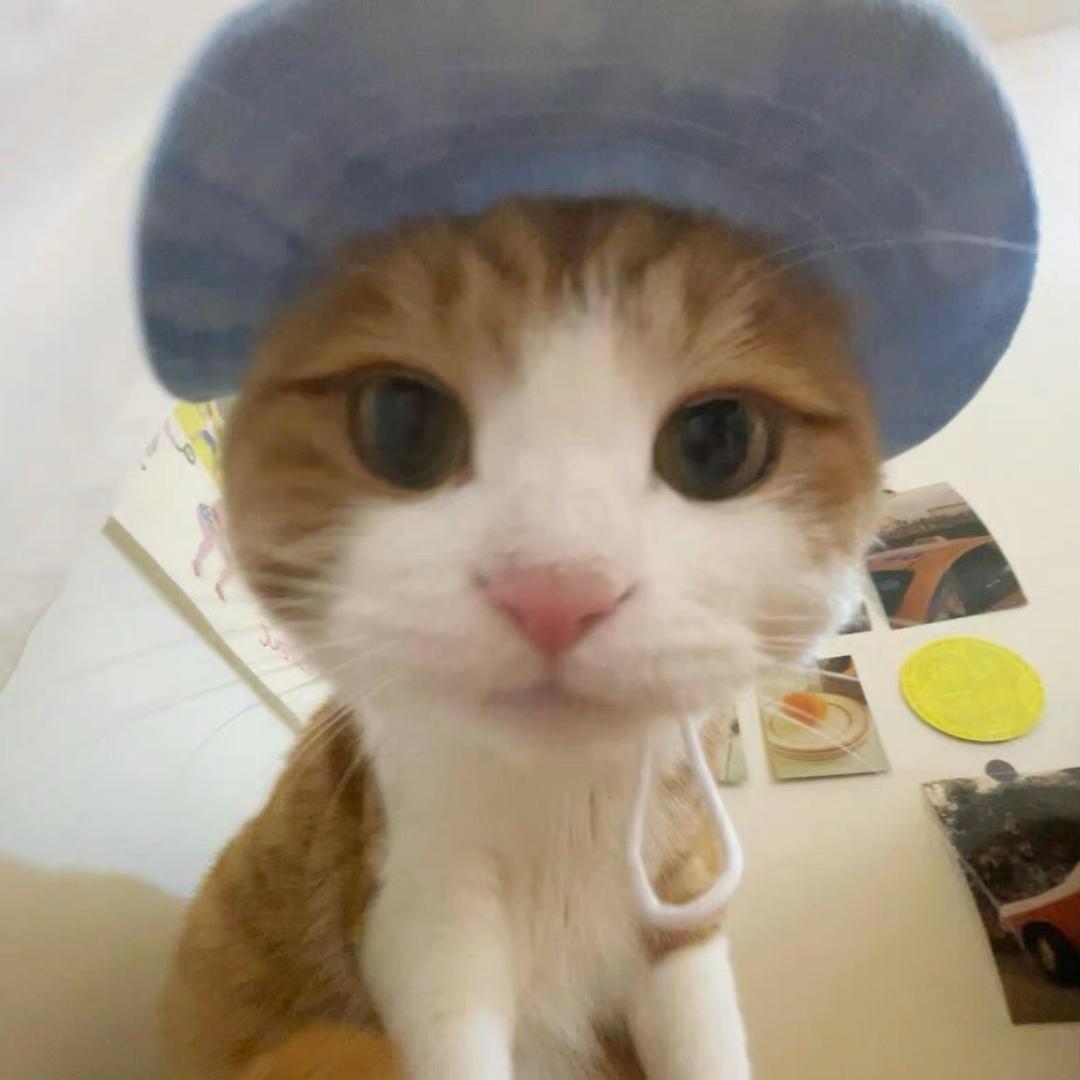 臭臭打王者（｀へ´）