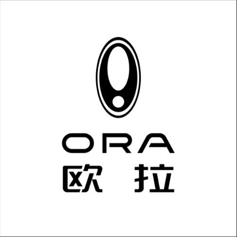 欧拉汽车阿克苏天宇骏腾