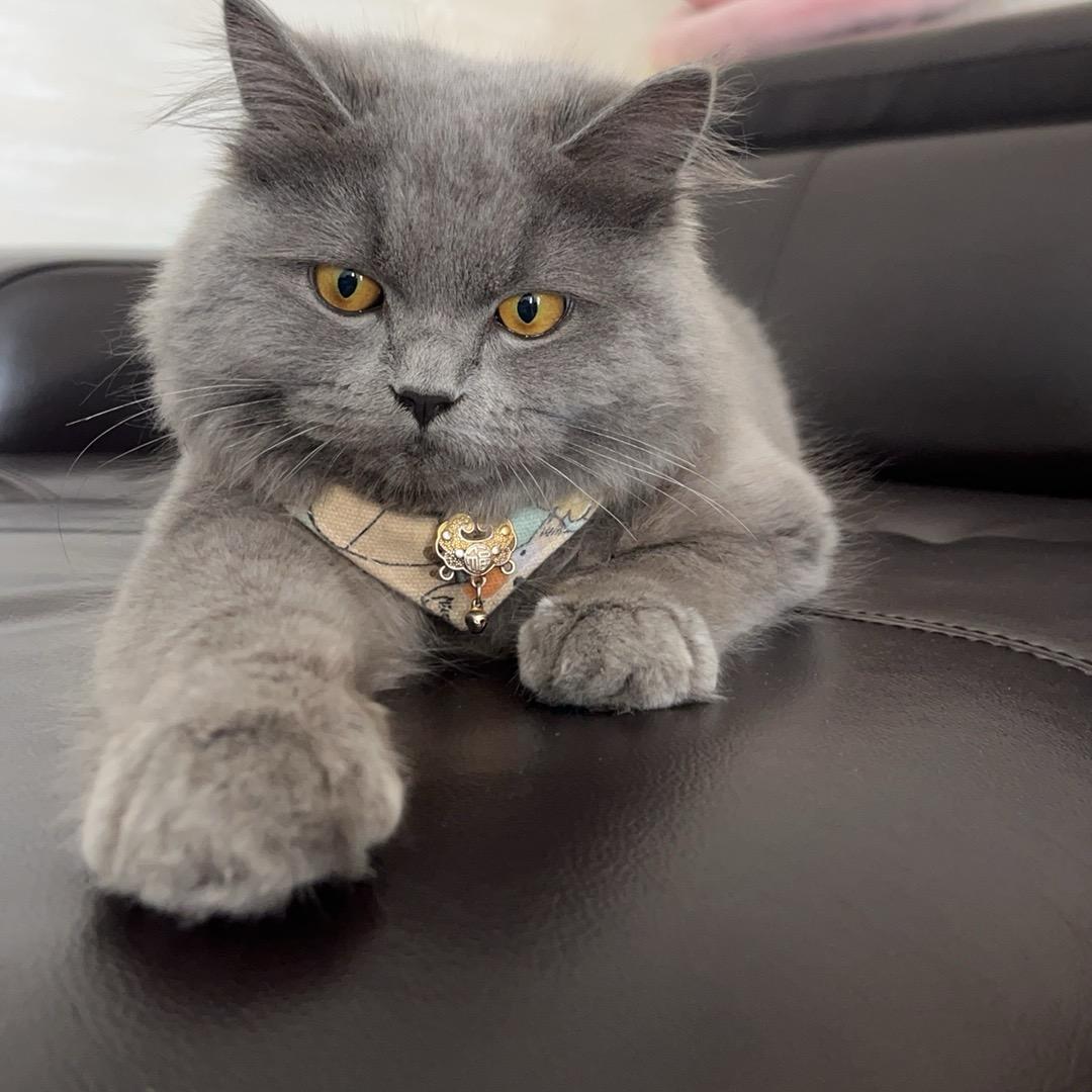 多财多亿（多亿离职版）