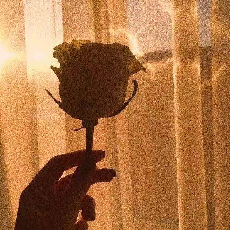 番茄🍅炒西红柿