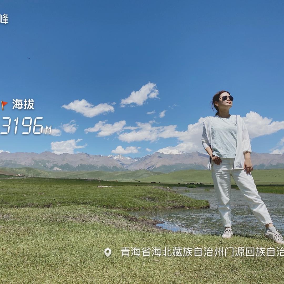IF-茜若