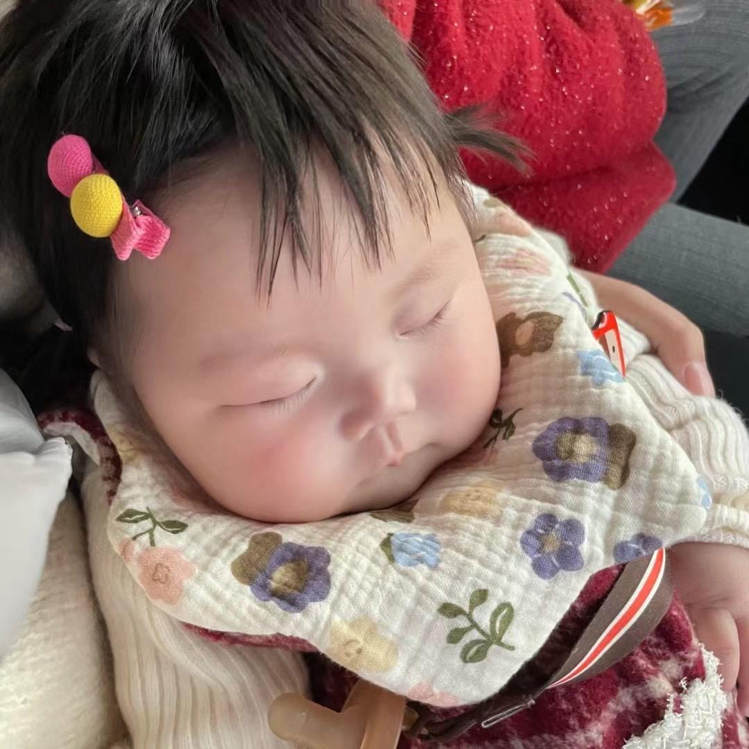 胖fufu的小杨羔