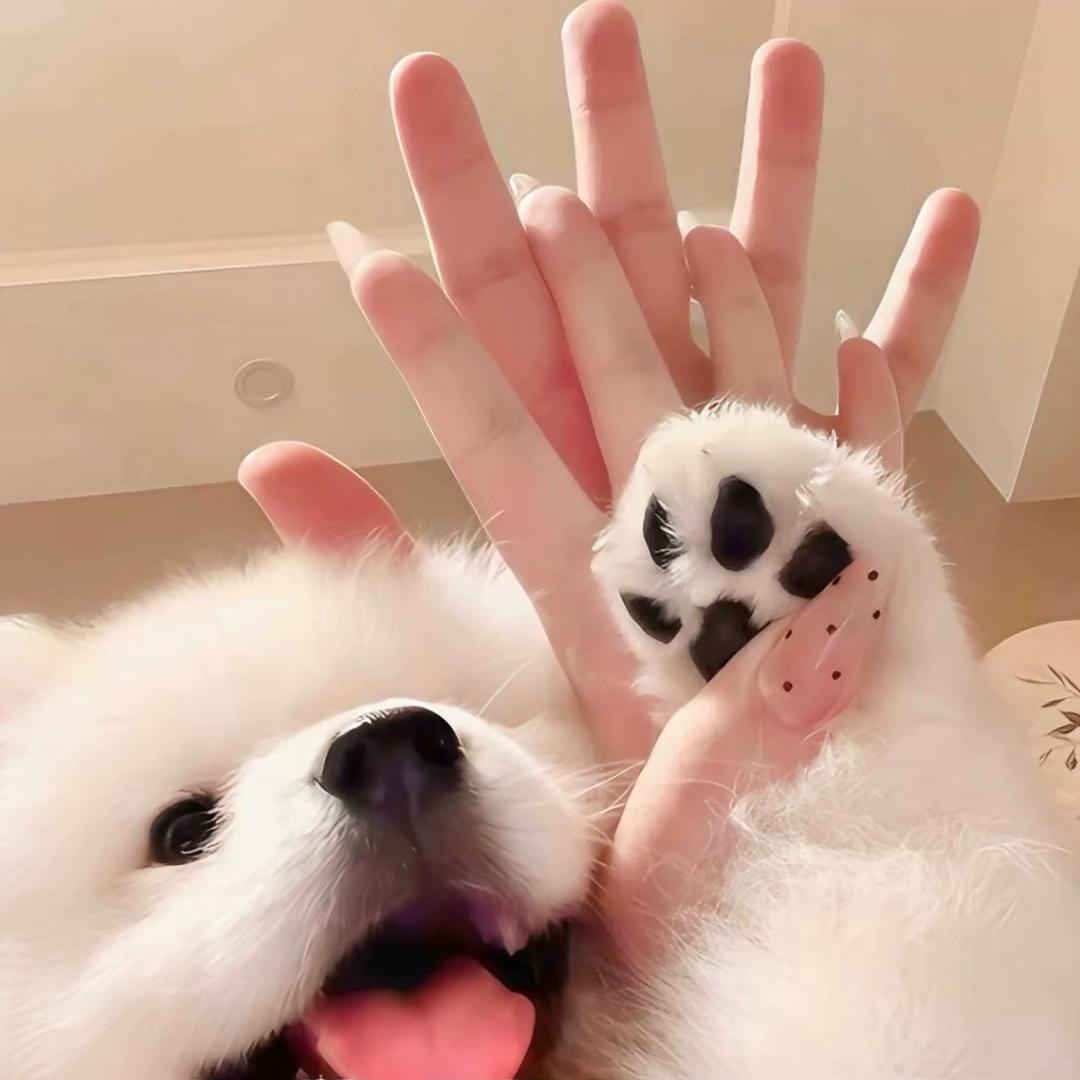 1依
