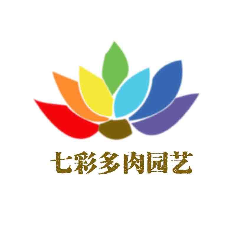 七彩多肉园艺