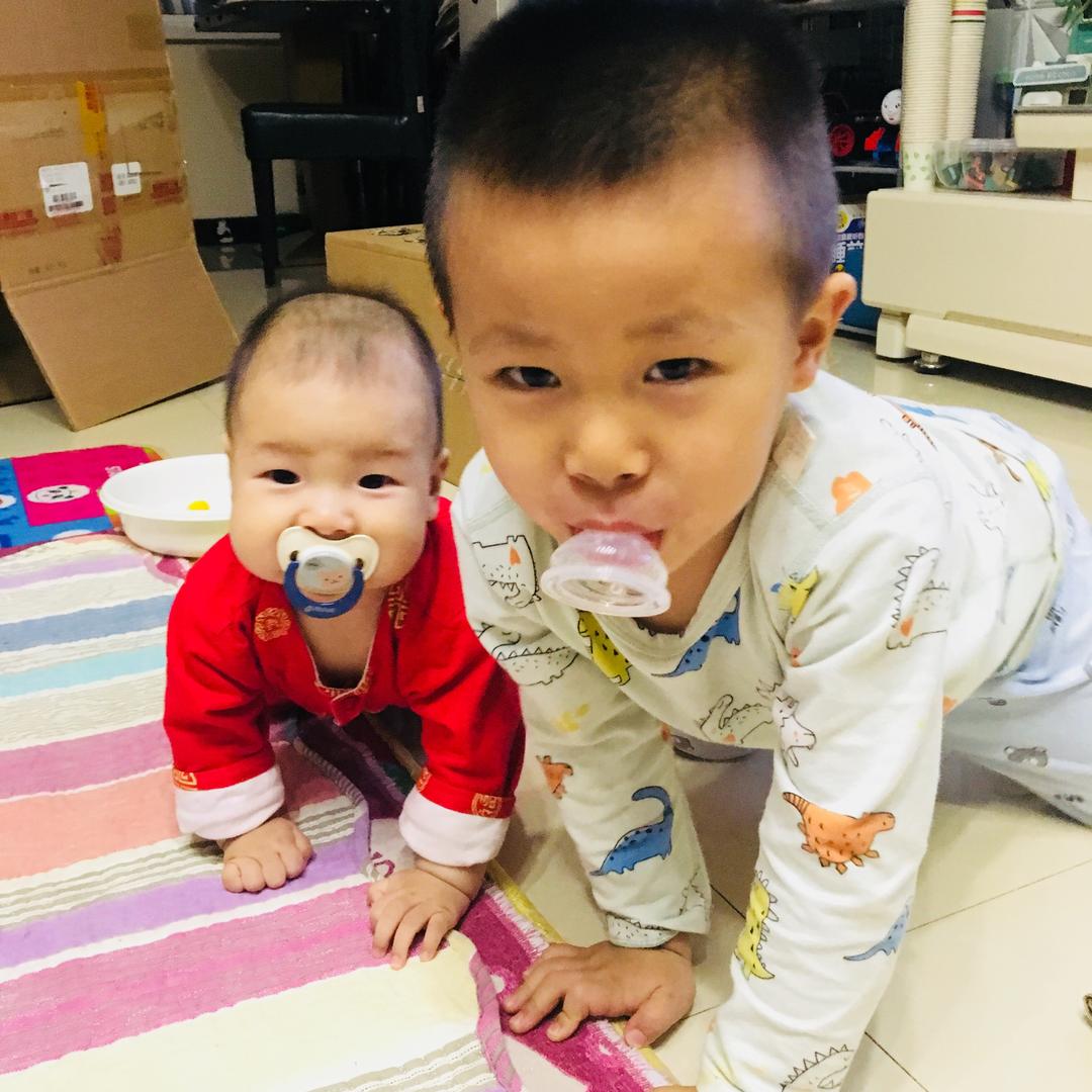 两个皮加克
