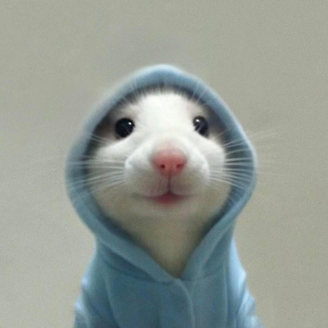 蒸烤箱