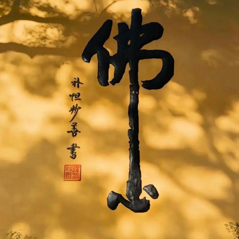 静尘老师