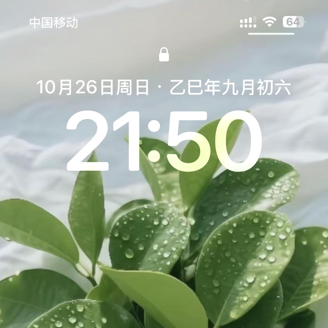 小杰紫砂2号