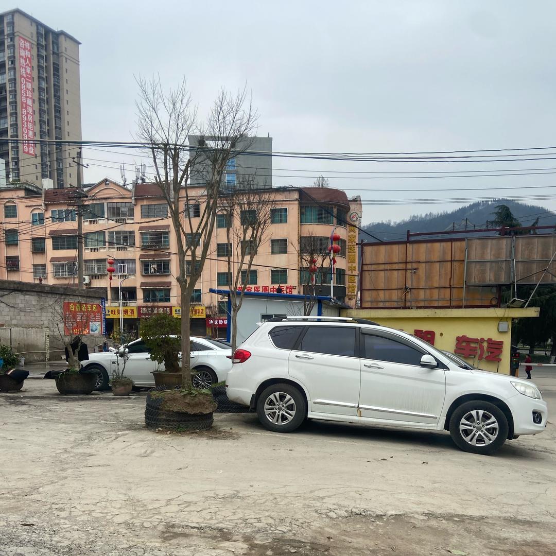 伤疤还没好就忘了疼