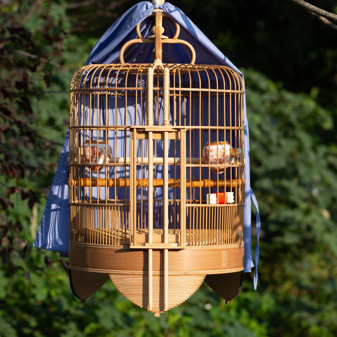 小欧鸟笼+活体鹦鹉