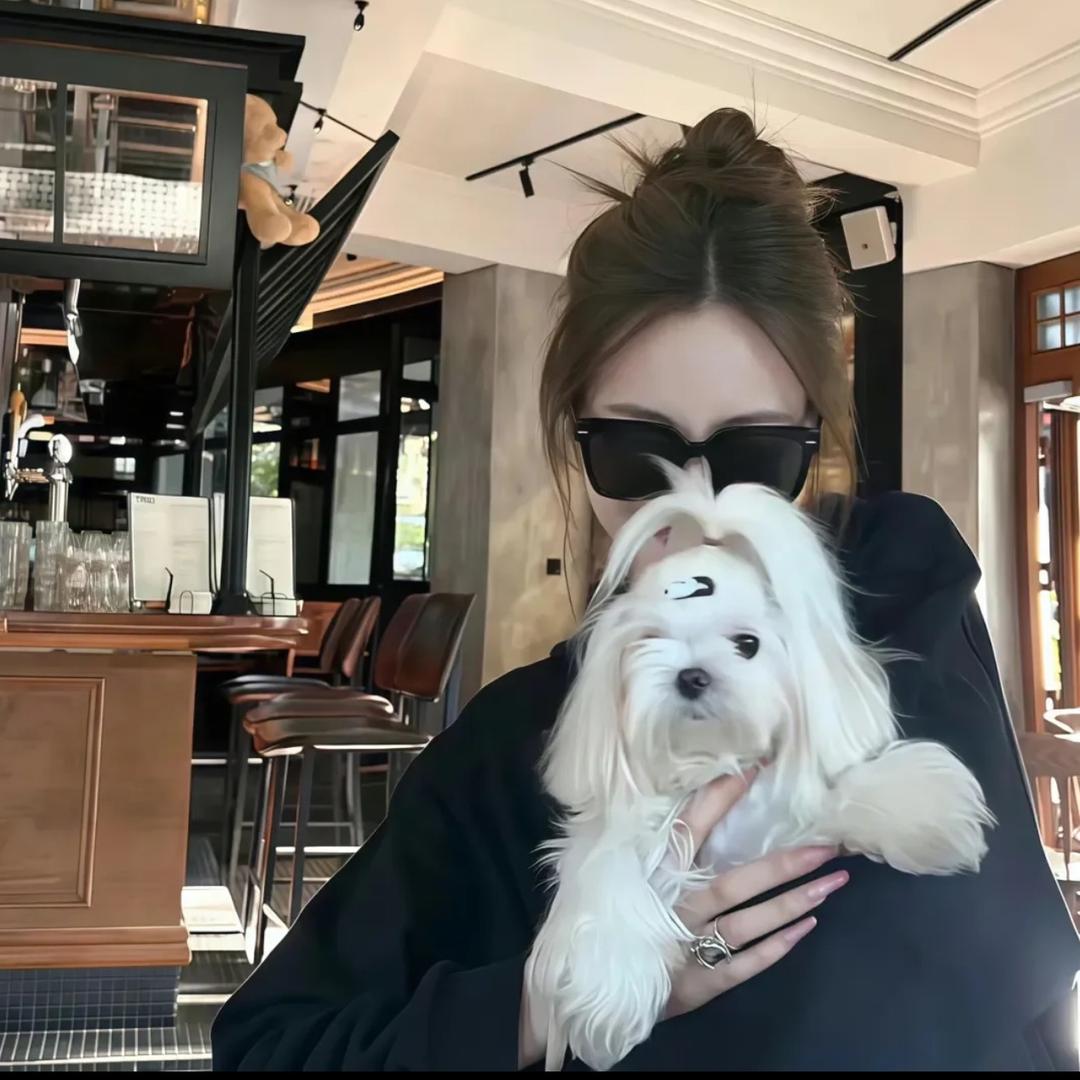 小y.