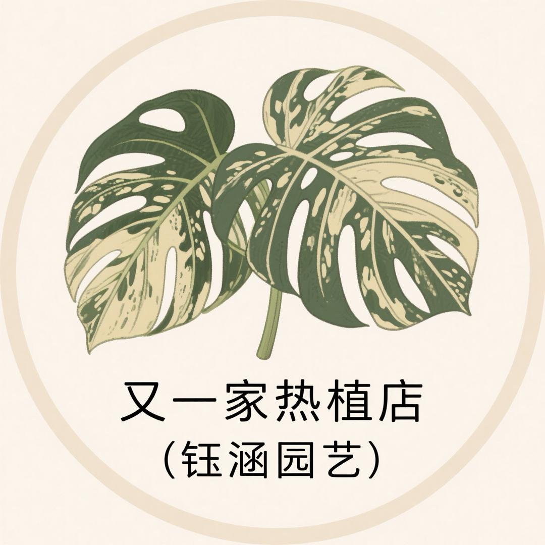 又一家热植店