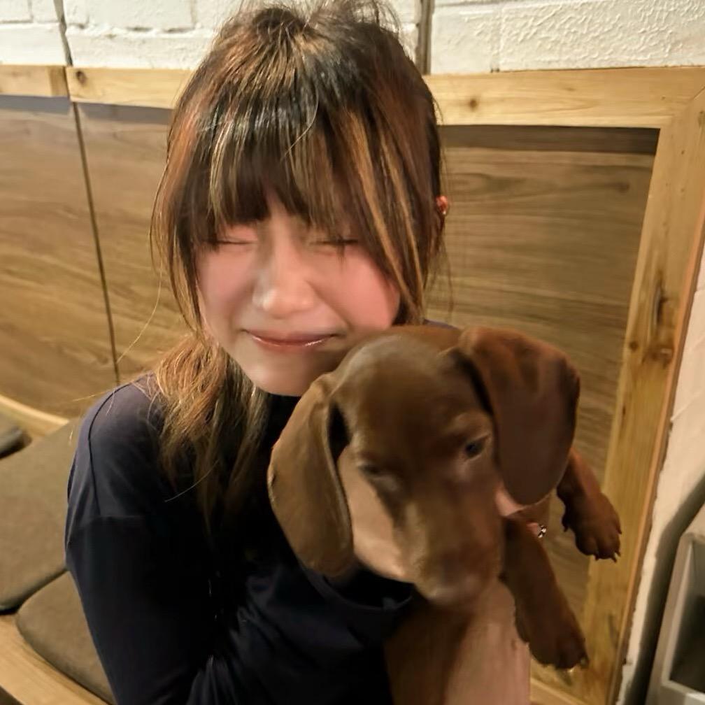 小Q、