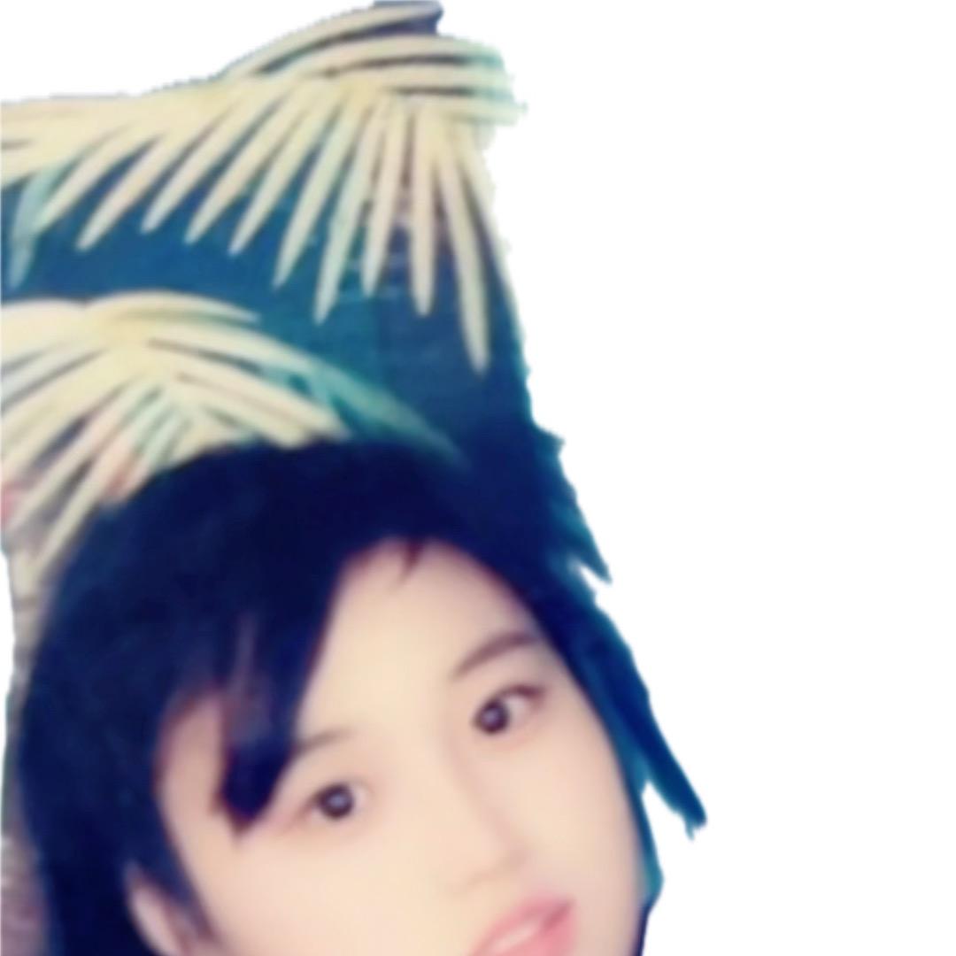 秋天的燕子