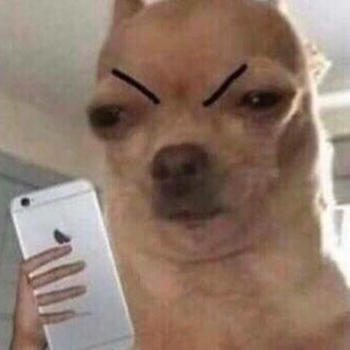 做1⃣️不做0⃣️