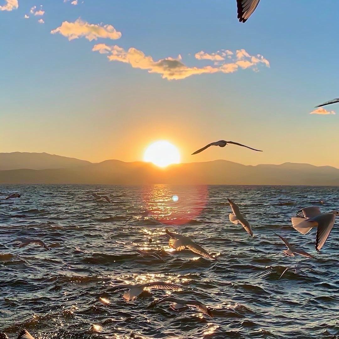 三角洲（跑刀鼠鼠）