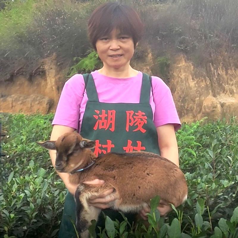 村姑茶叶
