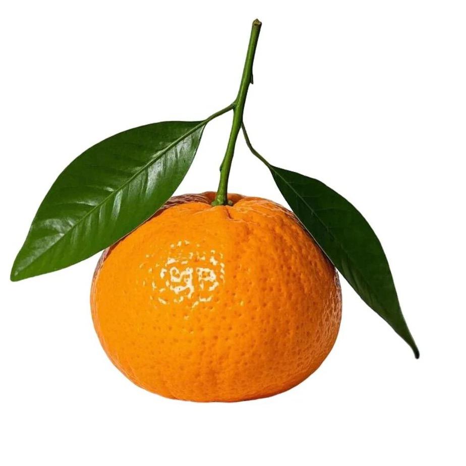 真是妙啊🤩！